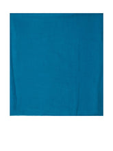 Foulard - Alberta Ferretti | Lidia Shopping