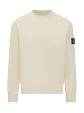 Sweater - Men | Lidia Shopping