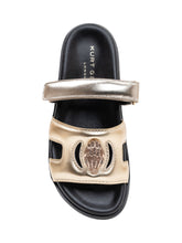 - | LIDIASHOPPING