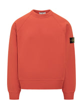 Stone Island Felpa con Logo sulla Manica - Abbigliamento Uomo | Lidia Shopping
