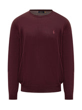 Polo Ralph Lauren Maglione in Lana Vergine - Abbigliamento Uomo | Lidia Shopping